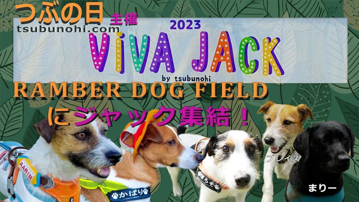 「つぶの日さん」イベント。ViVA JACK に行ってきました！