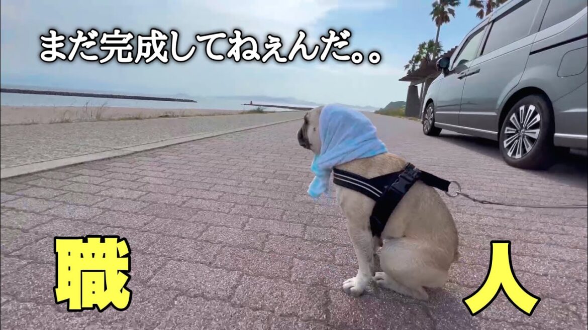 【笑笑】ボール大好き5男坊！海で遊ぶとこうなったｗｗ