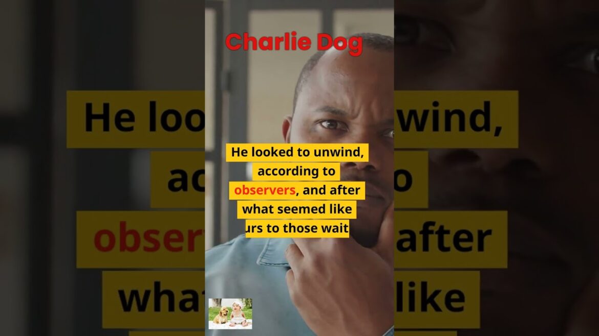 Charlie Dog#Famous Dogs#ytshorts #welsh terrier