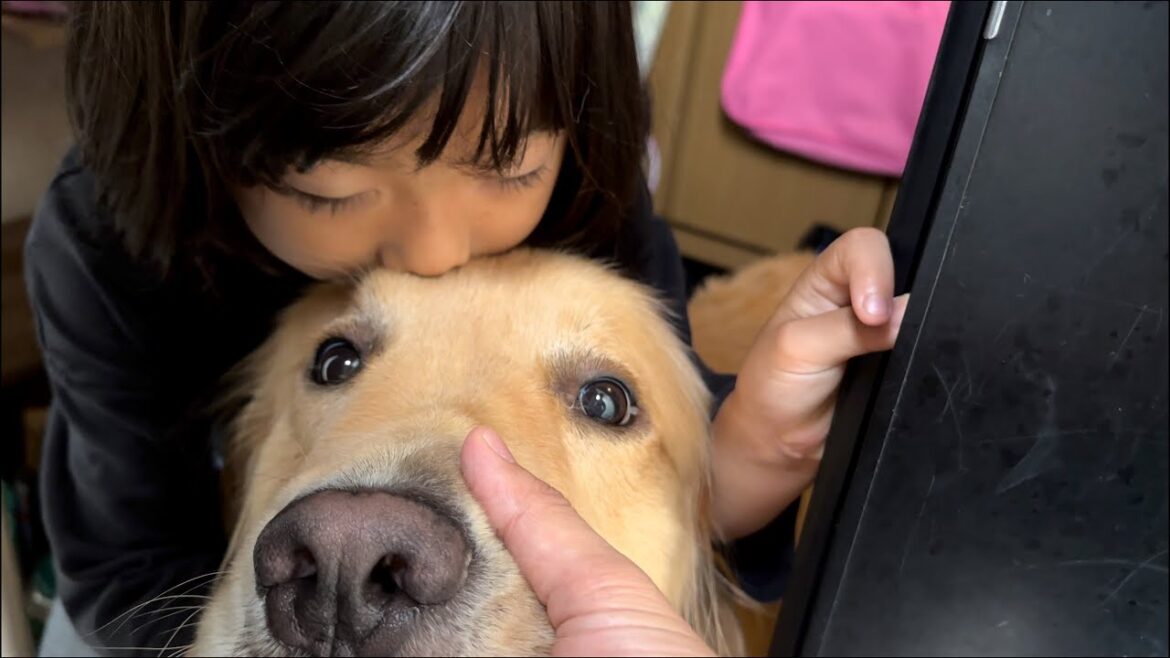 心細いお留守番中は、仲良しの愛犬が守ってくれる