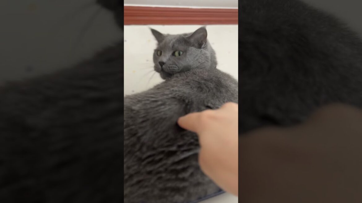 Three low-pitched tones