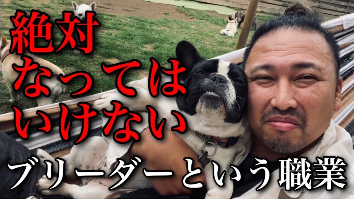 【人間の果て】ドッグブリーダーという職業を選んではいけない理由が怖すぎた