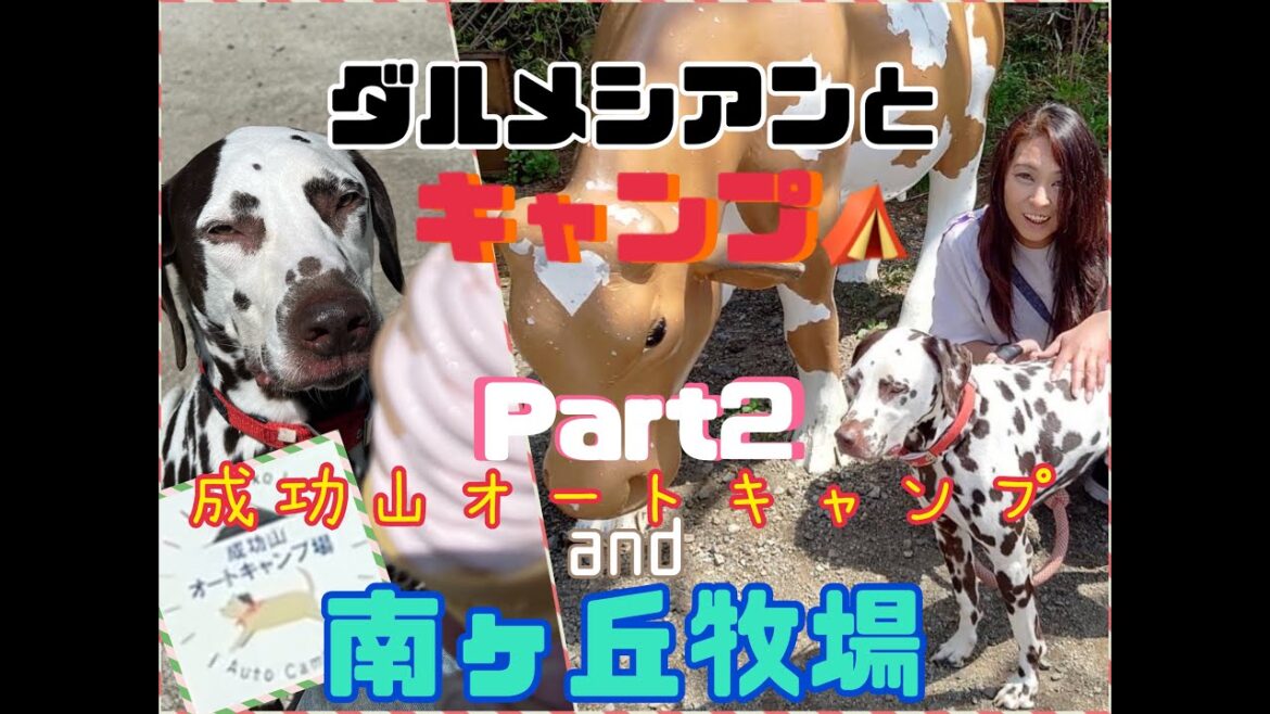 【ダルメシアンとキャンプ】成功山オートキャンプ場【Part2】 【ダルメシアンとキャンプ】成功山オートキャンプ場【Part2】