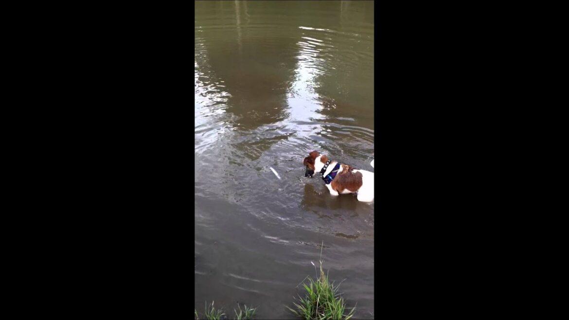 Milo Fishing2.MOV