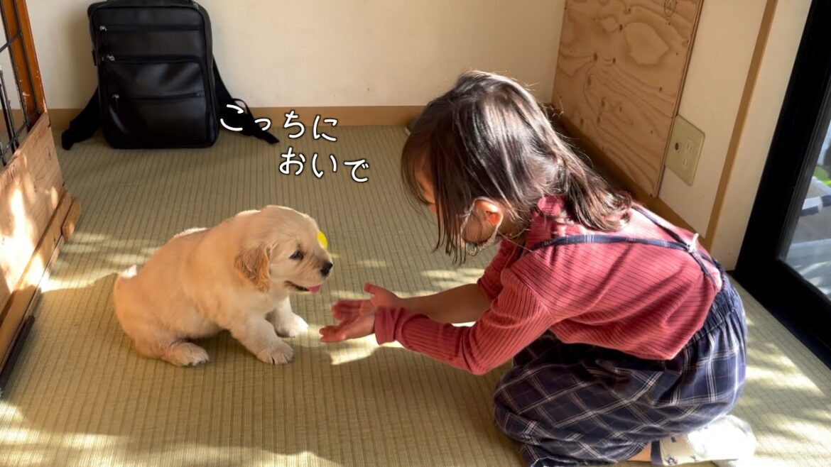 きっとこの出会いが5歳だった娘に母性を目覚めさせたんだ