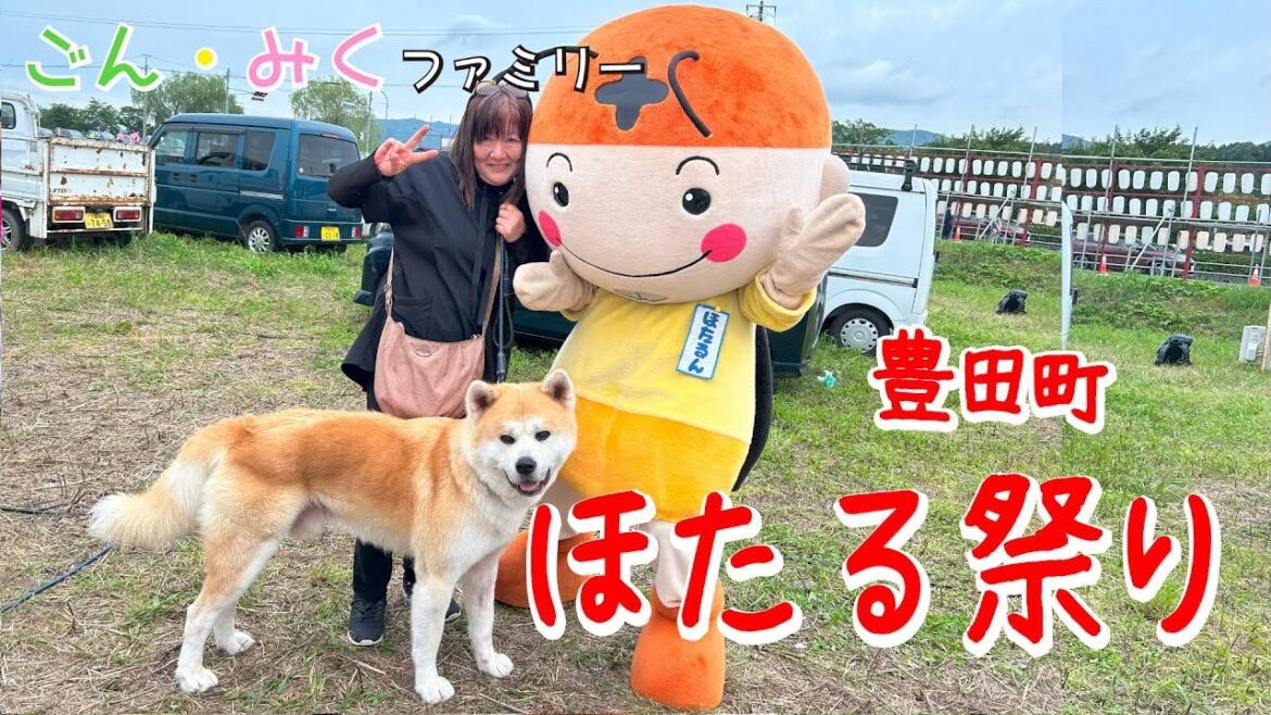 【豊田町 ほたる祭り】行ったよ♡　秋田犬【ごん・みく チャンネル】