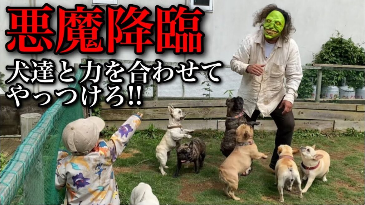 悪魔を倒すフレンチブルドッグ達とパニックでバグる子供