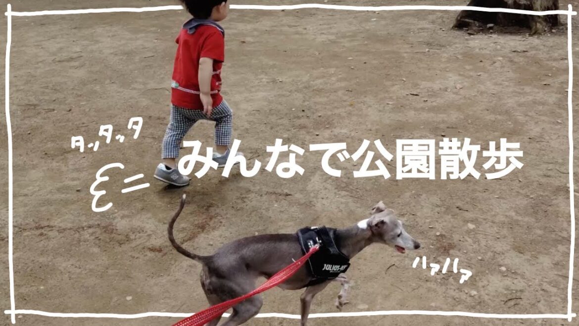 みんなで公園散歩【イタグレ】
