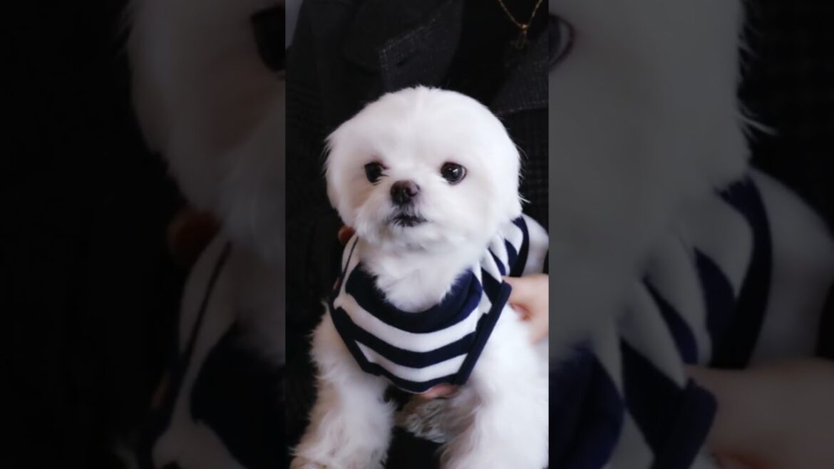 아톰과 함께 카페에서~