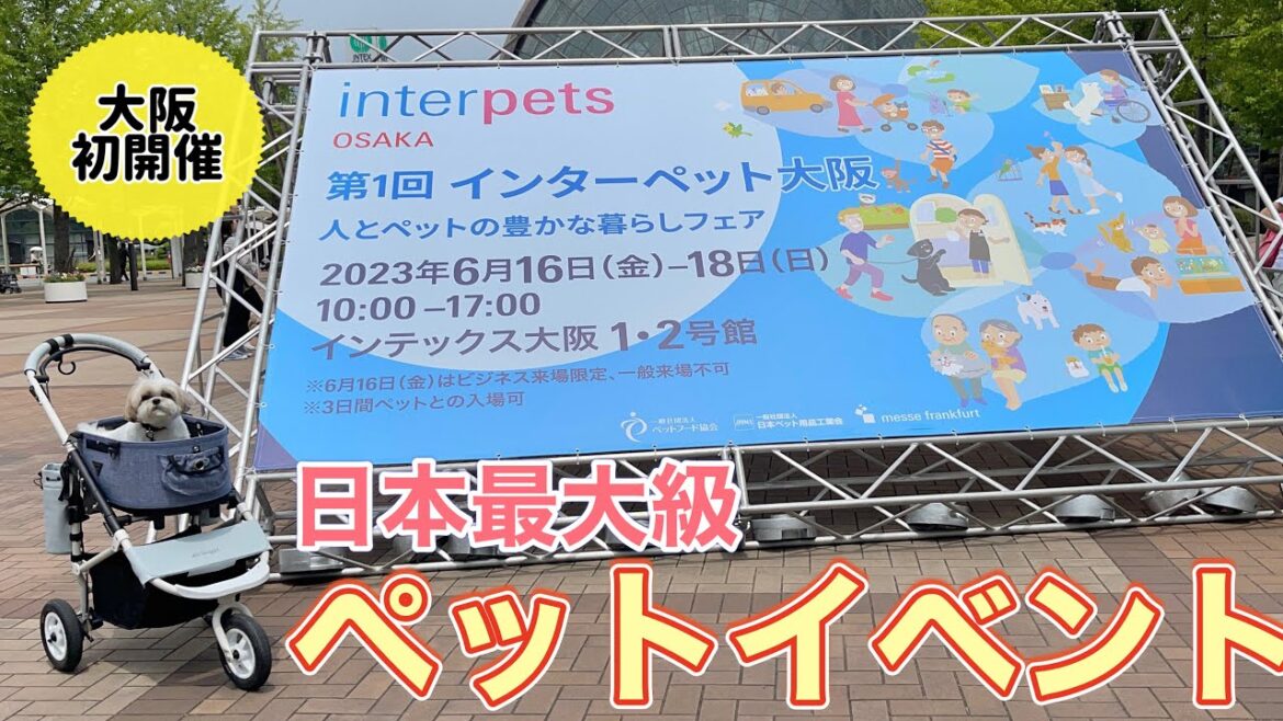 【インターペット大阪2023】シーズー犬と日本最大級のペットイベントに行ってきました!/ Japan’s biggest pet event with Shih Tzu. 【インターペット大阪2023】シーズー犬と日本最大級のペットイベントに行ってきました!/ Japan's biggest pet event with Shih Tzu.