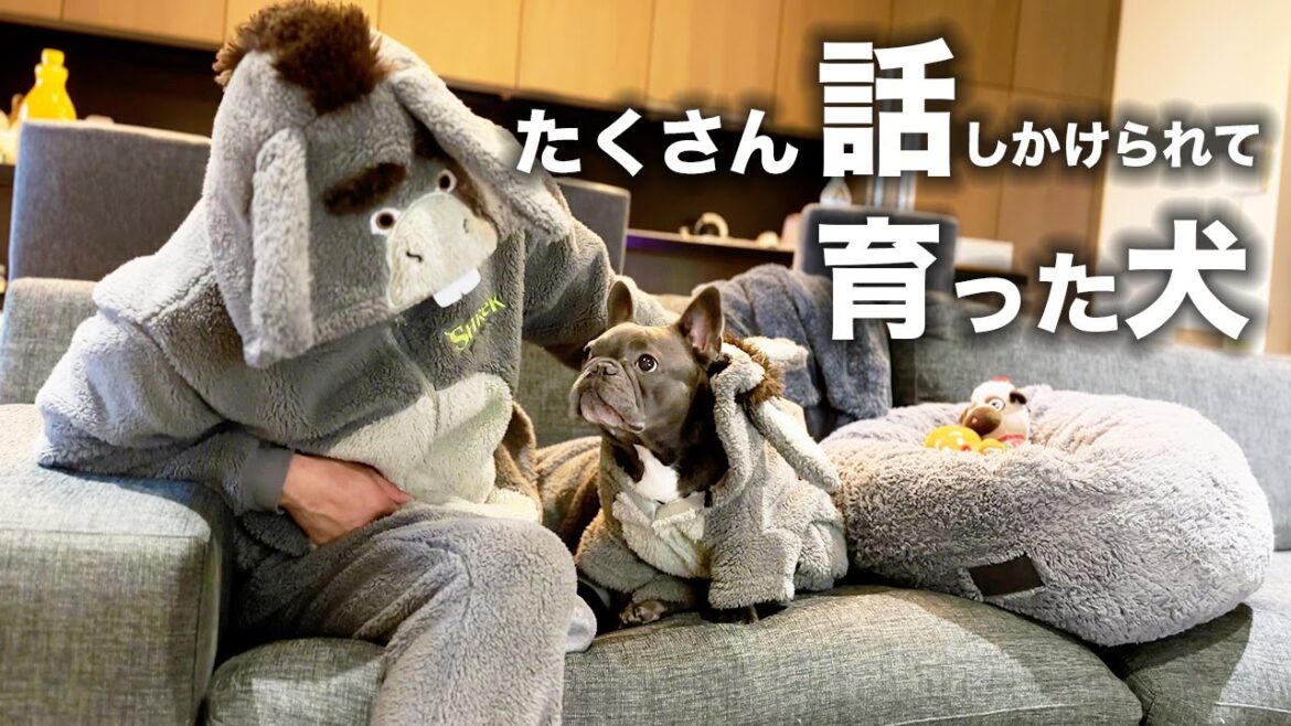 驚愕の3年後！たくさん話しかけられて育った犬が見せる行動