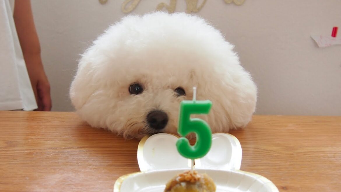 もうすぐ誕生日なんです