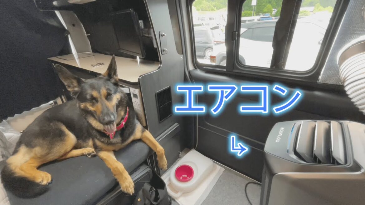 車内でポータブルエアコンつけたら、愛犬が溶けましたｗ【WAVE2教えてください！】