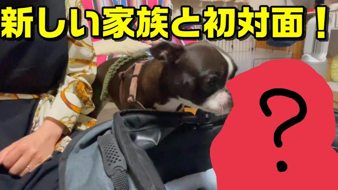 ライ家新しい家族をお迎えしました