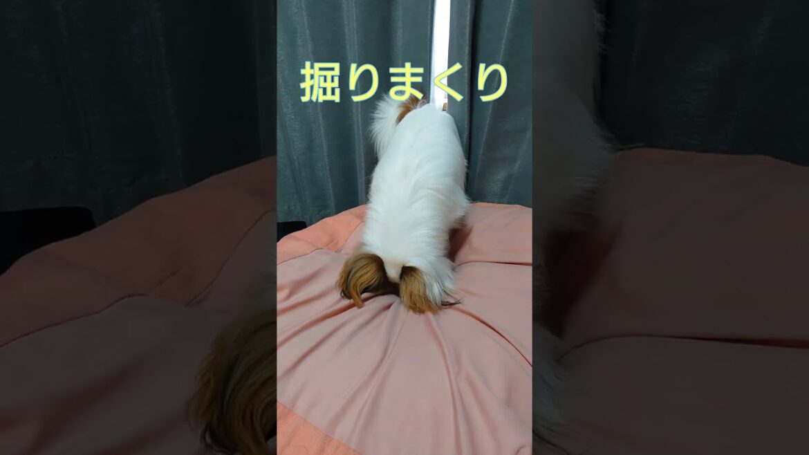 おいおい！穴あいちゃうよ（笑）