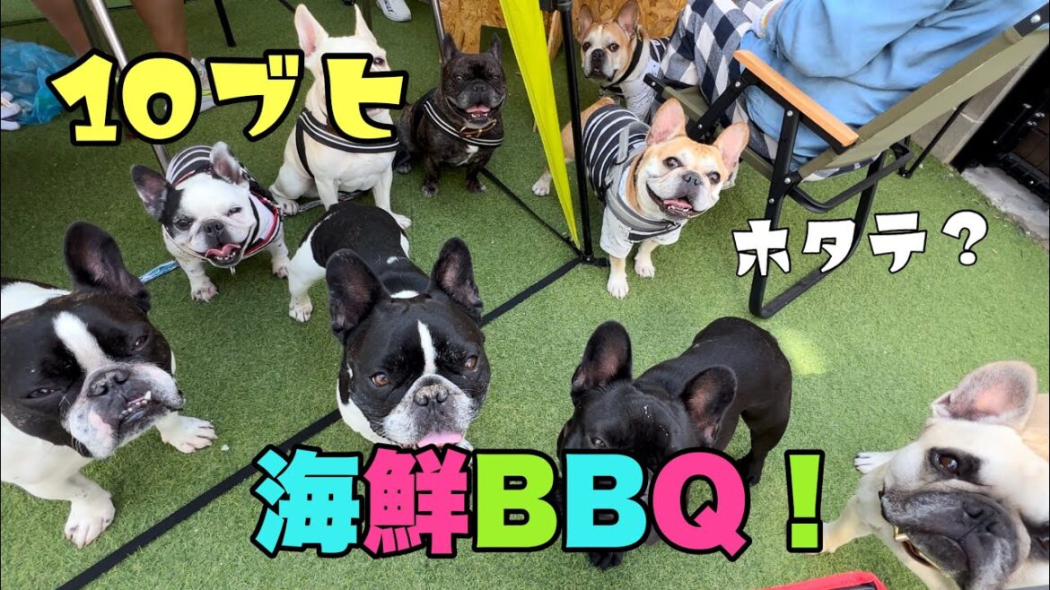かわいすぎるーーー‼仲良し3家族10ブヒで海鮮BBQ！