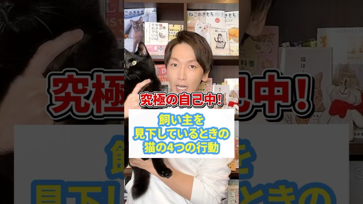 究極の自己中！飼い主を見下している時の猫の行動4つ