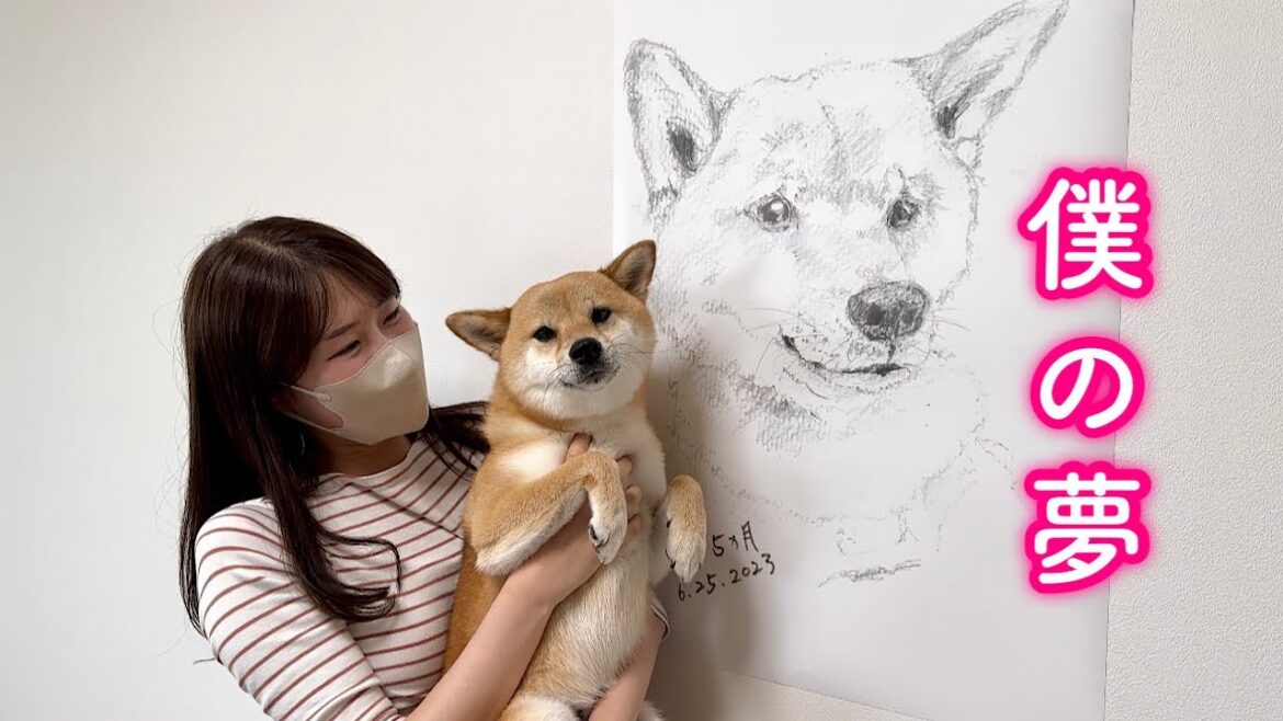 似顔絵の巨大ポスター飾ったら尻尾を振って喜ぶ自分のことが大好きな柴犬が可愛い