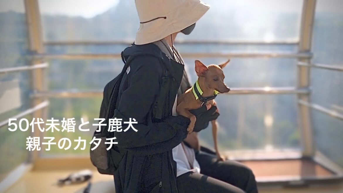 【50代、未婚、子なし】子供がいなくても家族がいれば休日がしあわせで溢れる【ミニピン/元保護犬】 【50代、未婚、子なし】子供がいなくても家族がいれば休日がしあわせで溢れる【ミニピン/元保護犬】