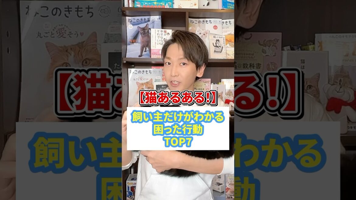 【猫あるある】飼い主だけが分かる困った行動TOP7