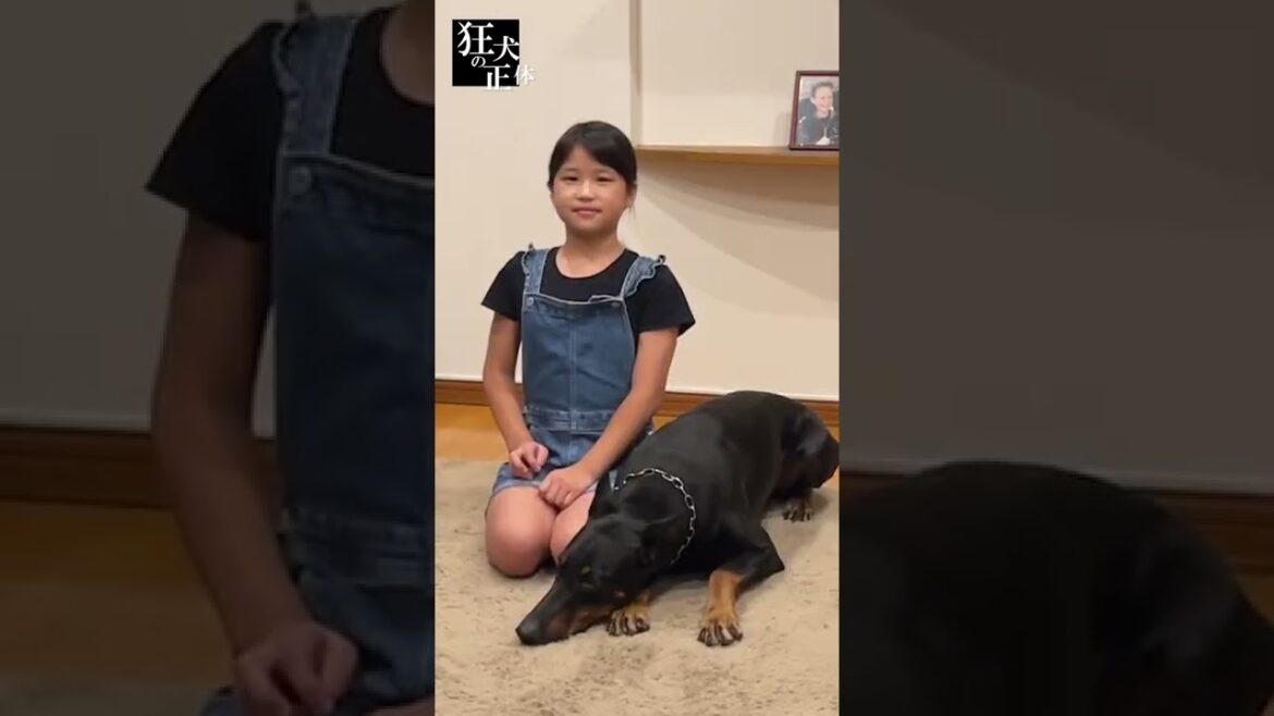 ドーベルマンと少女の関係性