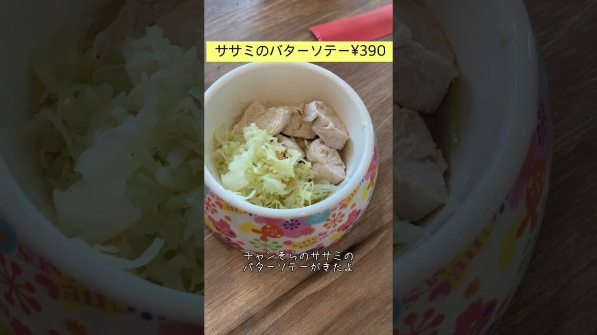 ボリューム満点ランチ ドッグカフェ  BUBU’S PAW( ブブズ・ポー)千葉県松戸市【日本スピッツ】 #shorts ボリューム満点ランチ ドッグカフェ  BUBU'S PAW( ブブズ・ポー)千葉県松戸市【日本スピッツ】 #shorts