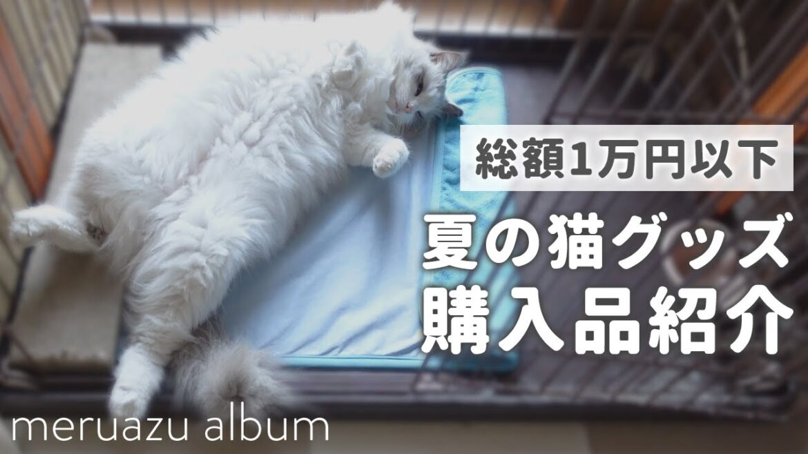 夏の購入品紹介！長毛猫ラグドールの暑さ対策に冷んやりグッズを5つプレゼント
