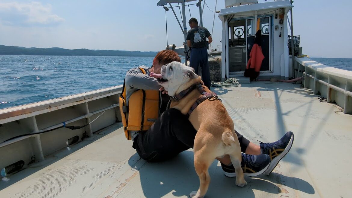 オホーツク海のホタテ漁船で愛犬と大喧嘩になりました…