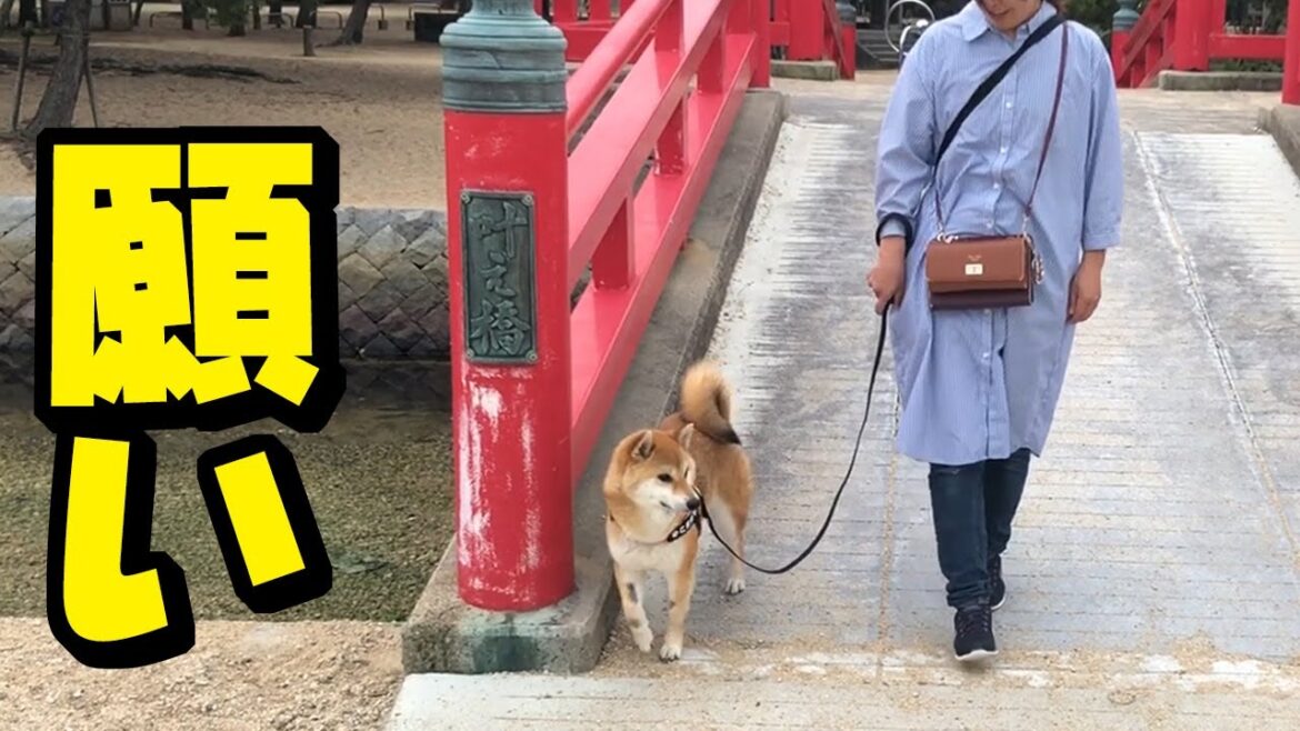 ［闘病79日目］検査結果のご報告