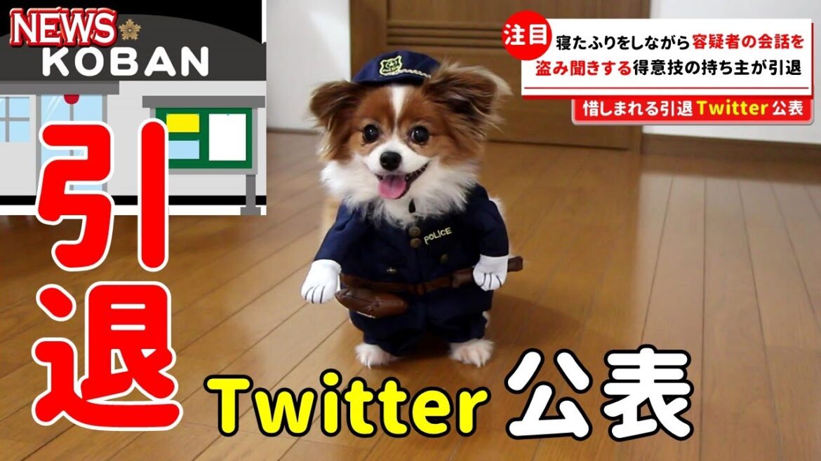 【ニュース】警察官を引退するパピヨン★【犬動画】