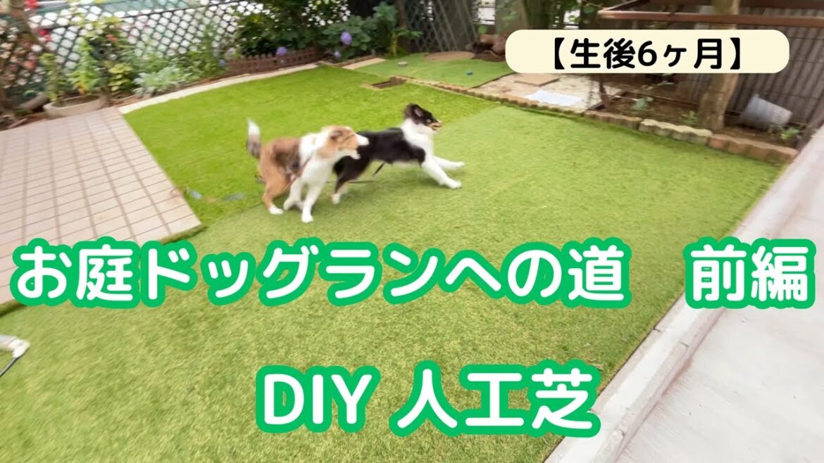 [DIY 人工芝] 拡張した人工芝で失踪する2匹たち