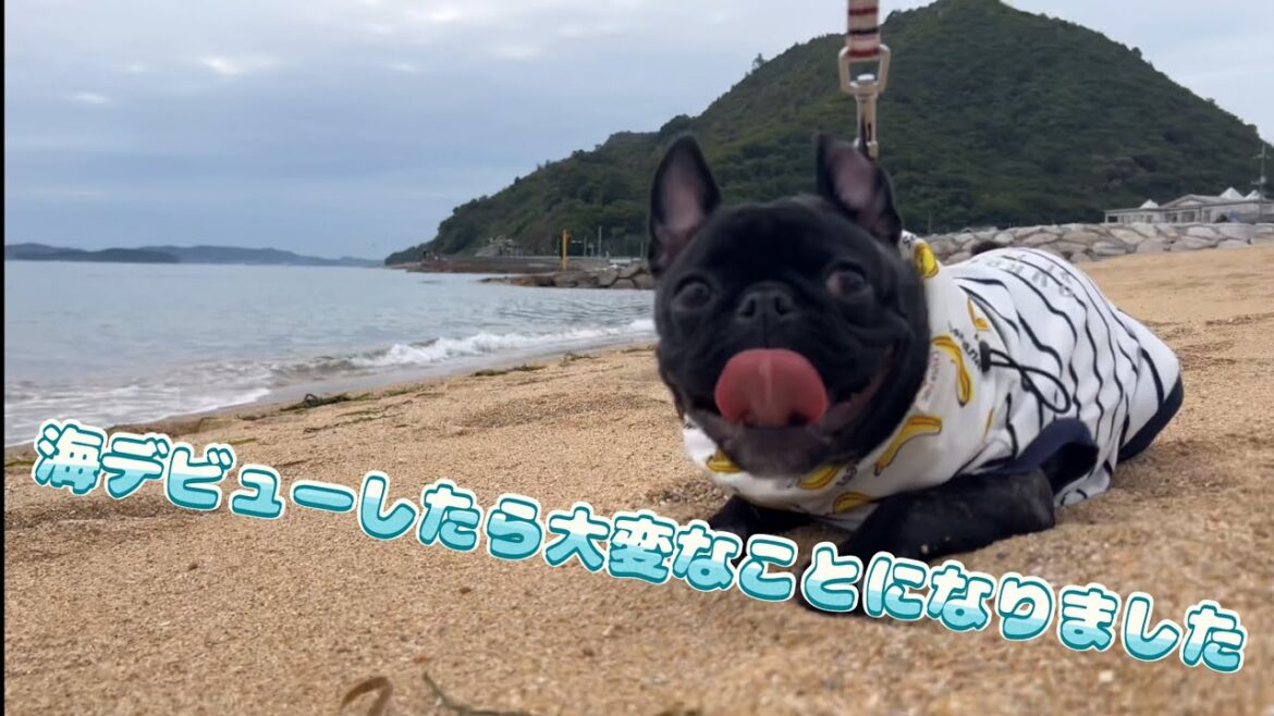 【悲報】生まれて初めての海に行ってみたら大変なことになりました。