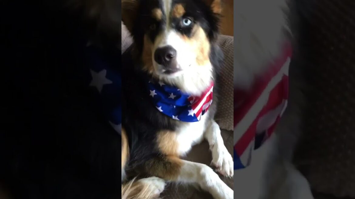 No, not the fireworks! #happyindependenceday