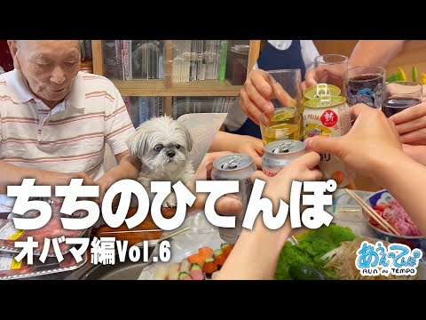 【シーズーVlog】ちちのひてんぽvol.6【カオス焼肉と犬】 【シーズーVlog】ちちのひてんぽvol.6【カオス焼肉と犬】