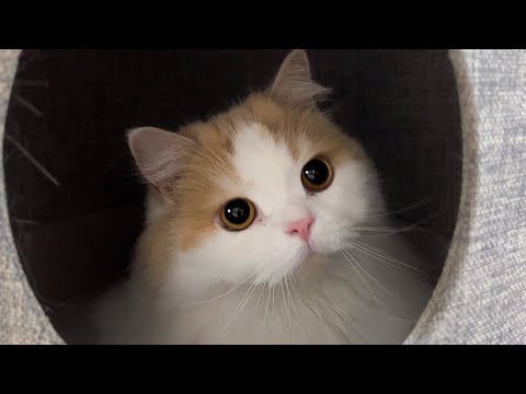 現状とポテチについて 現状とポテチについて