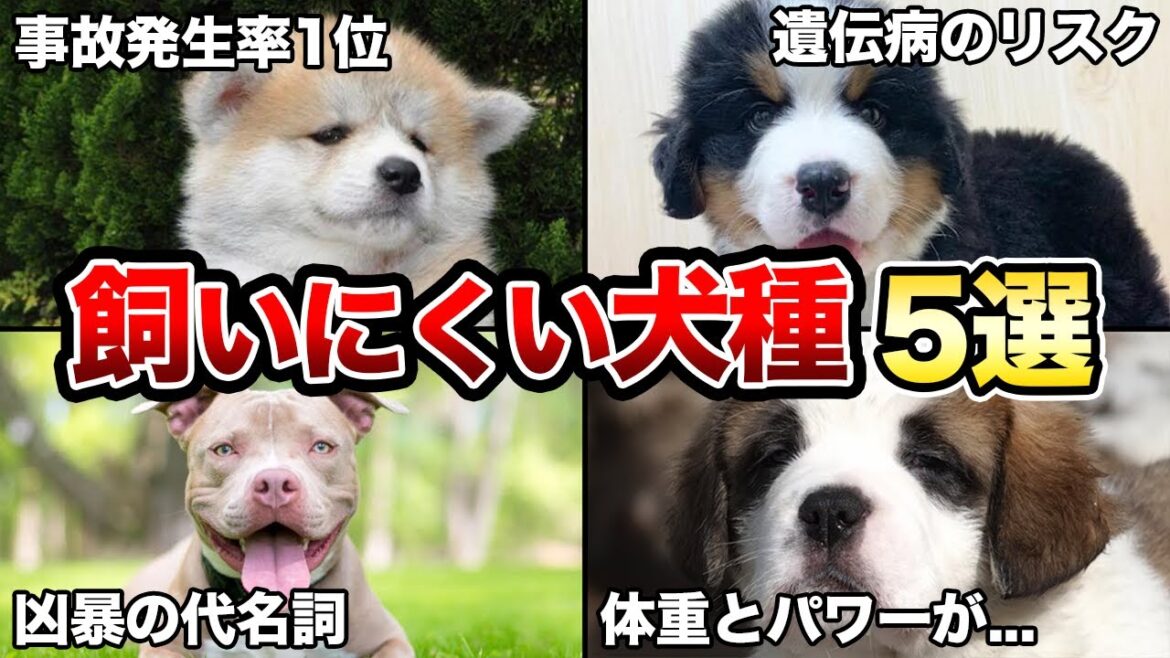 【初心者は注意】飼うのが難しい大型犬5選！
