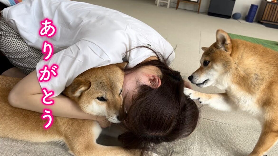 ママを助ける愛犬の想定外の行動に感動しました