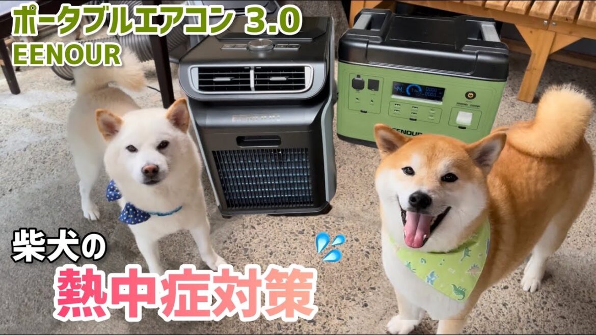 柴犬大家族の酷暑・熱中症対策にみかん園が今年導入したものはこちら！｜EENOUR ポータブルエアコン スポットクーラー 3.0 PA600