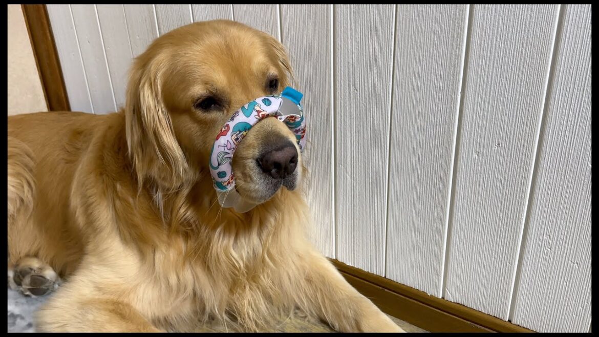 ふと見たら、こんなんされてた ふと見たら、こんなんされてた