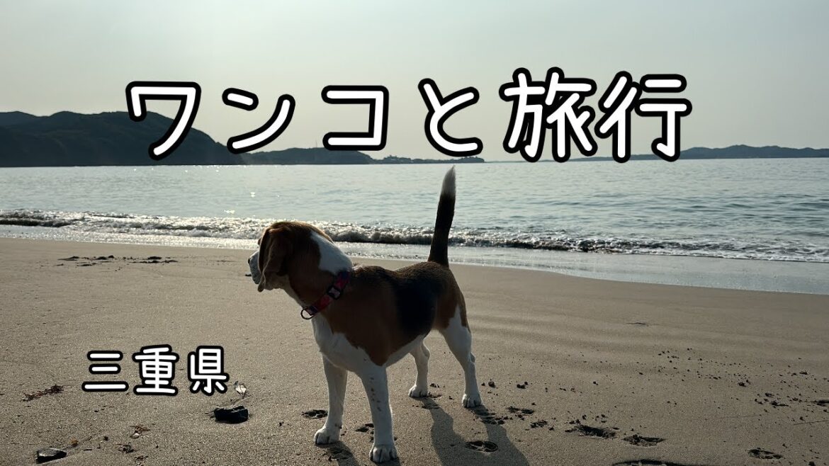 【三重県】ワンコと旅行　食べ歩き