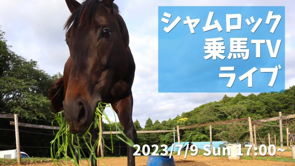 シャムロックから生放送【シャムロック乗馬TVライブ】