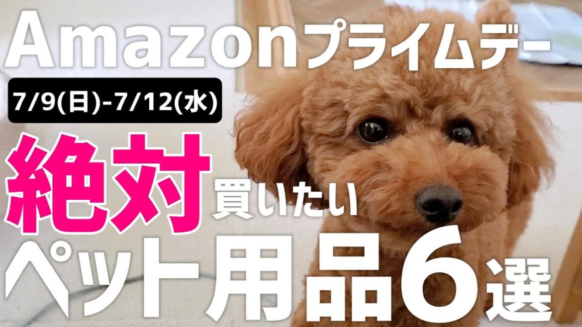 【知らないと損】Amazonプライムデーで絶対購入したいペット用品