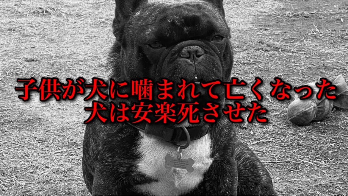 【大炎上】子供が犬に噛まれて亡くなりました。犬は安楽○させました。