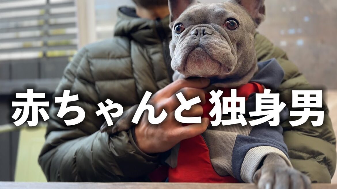 海外ワンオペ男と可愛さ+悪魔な犬にはいつも何かが起こる…