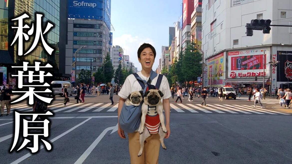 犬を飼って結婚願望を失った30代。近未来ガジェットを手に入れてこうなった 犬を飼って結婚願望を失った30代。近未来ガジェットを手に入れてこうなった