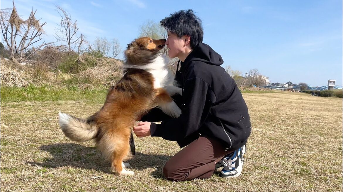河川敷で遊んでいると興奮しまくった愛犬がこうなりました...w