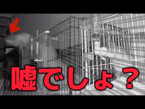 【衝撃映像】まさかの真相にビックリ🫢 【衝撃映像】まさかの真相にビックリ🫢
