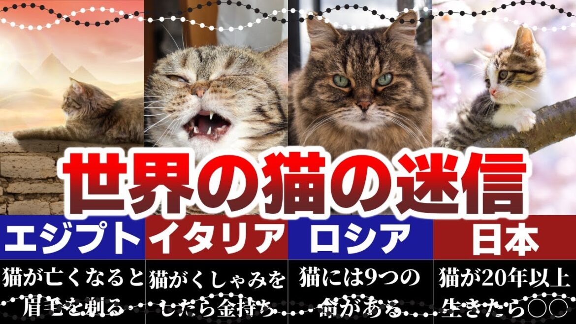 一方、日本は？猫好きなら知っておきたい世界11ヶ国の猫の迷信