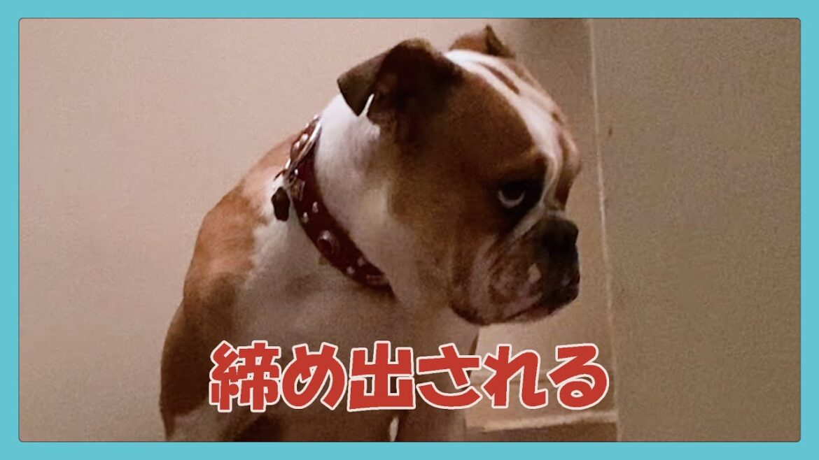 ついに締め出されました…