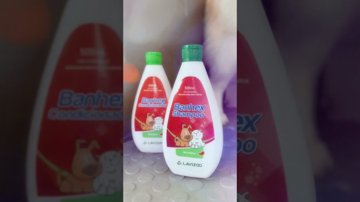 Banho da Samoieda Malu Viana com Shampoo Banhex Melancia Lavizoo #shorts